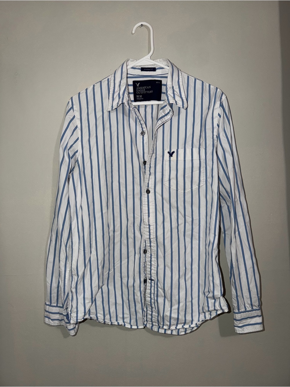 American Eagle Vintage Fit Blue & White Striped Button-Down Shirt – Size M